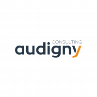 AUDIGNY CONSULTING